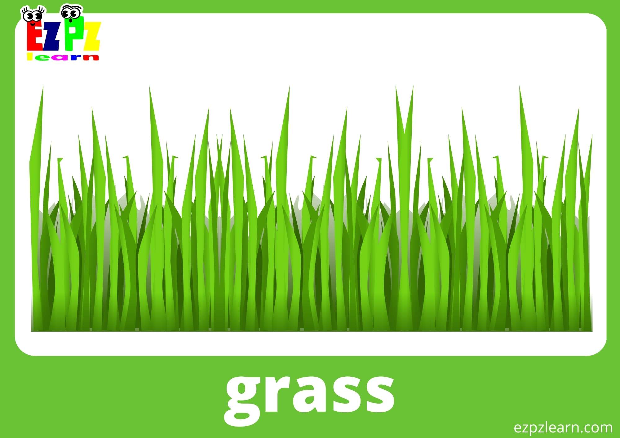 Grass